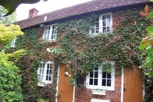 Photo 11- click for photo gallery